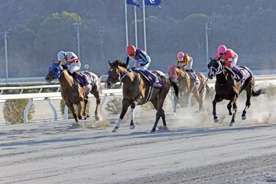 🏇 고치 경마장 (코치 케이바조)
